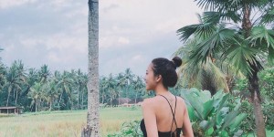 <?php the_title(); ?>