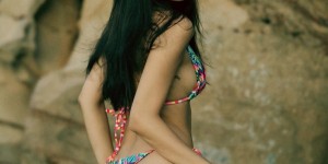 <?php the_title(); ?>