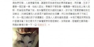 【EV扑克】「路邊領救濟食物」成龍女兒淪落街頭　辣妻怒揭真相