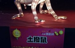 【EV女孩】歷年元宵節花燈大回顧！12 年前的猴年主燈真的醜到笑出來